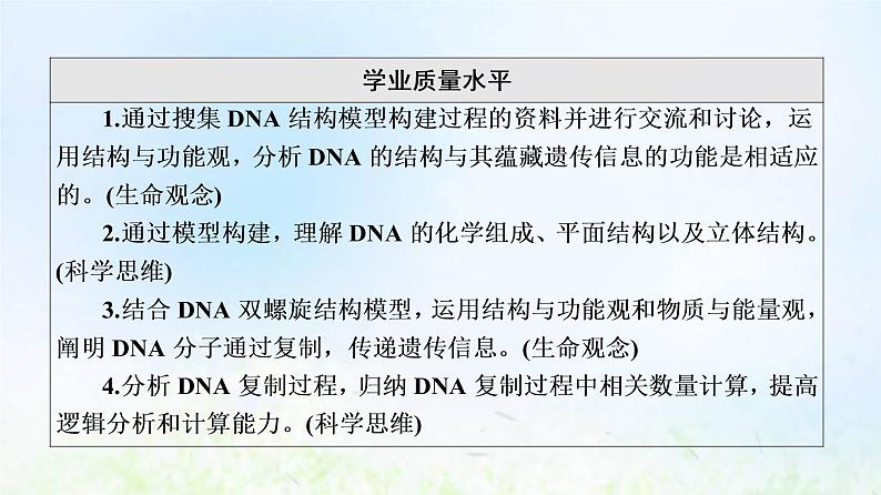 2022版新教材高考生物一轮复习第6单元基因的本质和表达第17课DNA的结构复制和基因的本质课件新人教版03