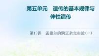 2022版新教材高考生物一轮复习第5单元遗传的基本规律与伴性遗传第13课孟德尔的豌豆杂交实验一课件新人教版