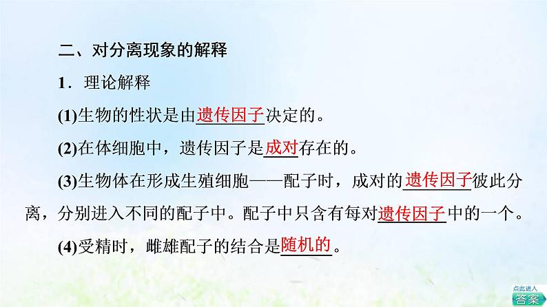 2022版新教材高考生物一轮复习第5单元遗传的基本规律与伴性遗传第13课孟德尔的豌豆杂交实验一课件新人教版08