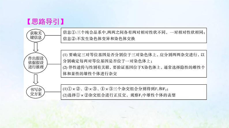 2022版新教材高考生物一轮复习第5单元遗传的基本规律与伴性遗传实验探究系列5遗传类实验的设计方案课件新人教版05