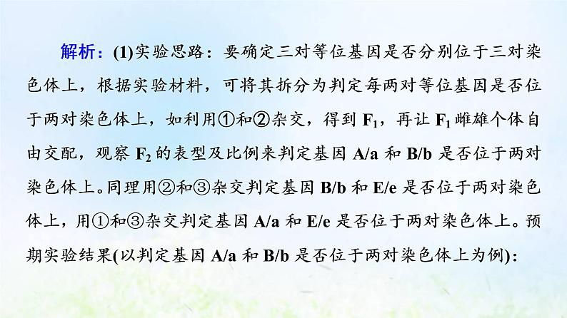 2022版新教材高考生物一轮复习第5单元遗传的基本规律与伴性遗传实验探究系列5遗传类实验的设计方案课件新人教版06