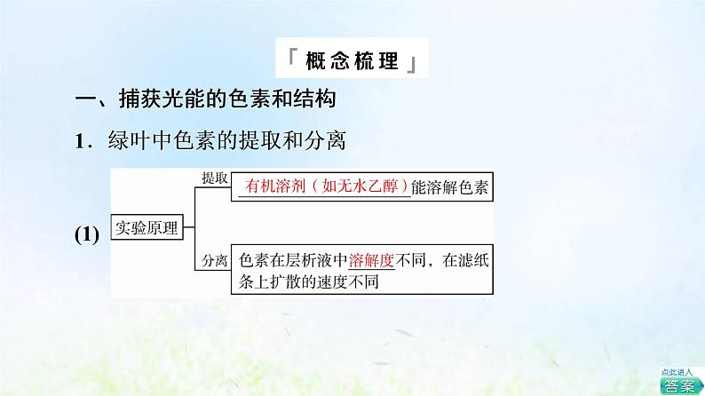 2022版新教材高考生物一轮复习第3单元细胞的能量供应和利用第9课光合作用与能量转化课件新人教版05