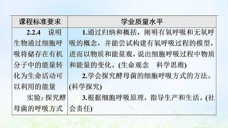 2022版新教材高考生物一轮复习第3单元细胞的能量供应和利用第8课细胞呼吸的原理和应用课件新人教版02