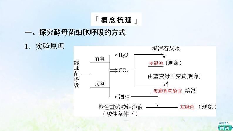 2022版新教材高考生物一轮复习第3单元细胞的能量供应和利用第8课细胞呼吸的原理和应用课件新人教版04