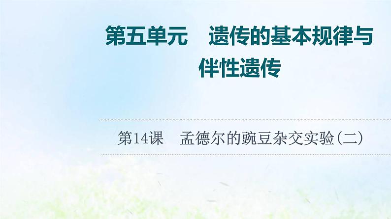 2022版新教材高考生物一轮复习第5单元遗传的基本规律与伴性遗传第14课孟德尔的豌豆杂交实验二课件新人教版01