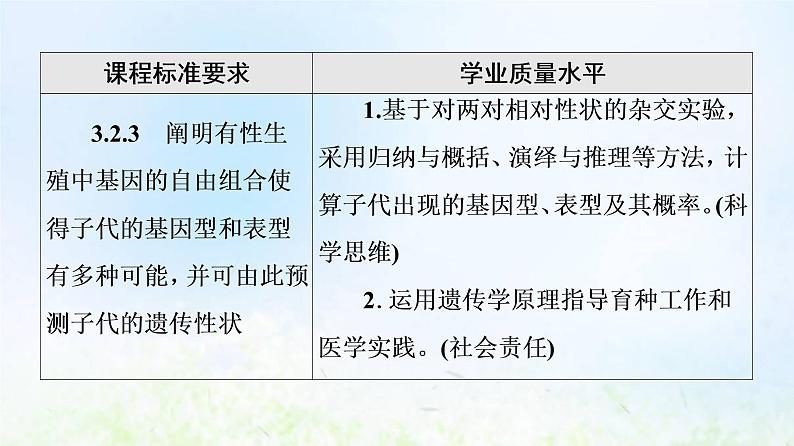 2022版新教材高考生物一轮复习第5单元遗传的基本规律与伴性遗传第14课孟德尔的豌豆杂交实验二课件新人教版02