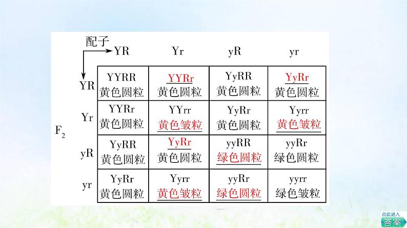 2022版新教材高考生物一轮复习第5单元遗传的基本规律与伴性遗传第14课孟德尔的豌豆杂交实验二课件新人教版07