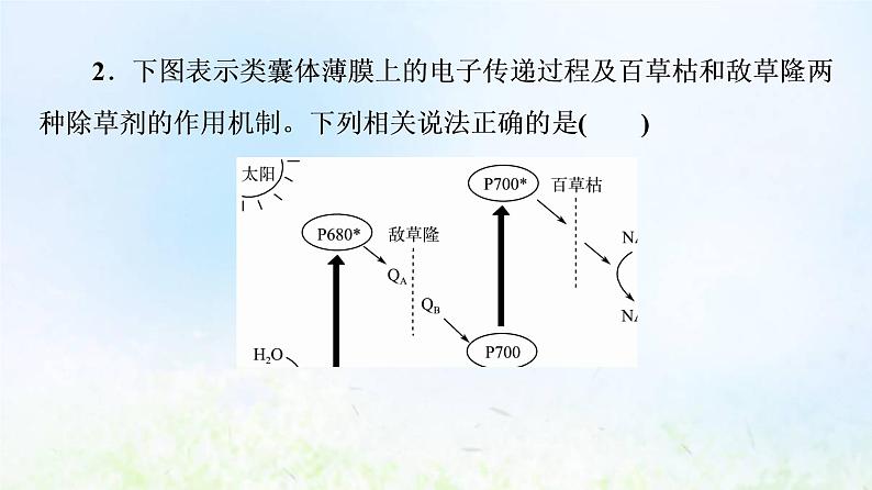 2022版新教材高考生物一轮复习第4单元细胞的生命历程大概念升华课必修概念2课件新人教版07