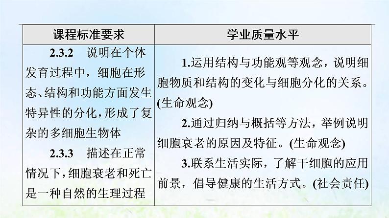 2022版新教材高考生物一轮复习第4单元细胞的生命历程第12课细胞的分化衰老和死亡课件新人教版第2页