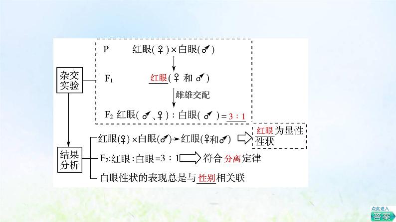 2022版新教材高考生物一轮复习第5单元遗传的基本规律与伴性遗传第15课基因在染色体上伴性遗传和人类遗传参件新人教版课件PPT08