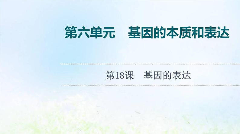 2022版新教材高考生物一轮复习第6单元基因的本质和表达第18课基因的表达课件新人教版第1页