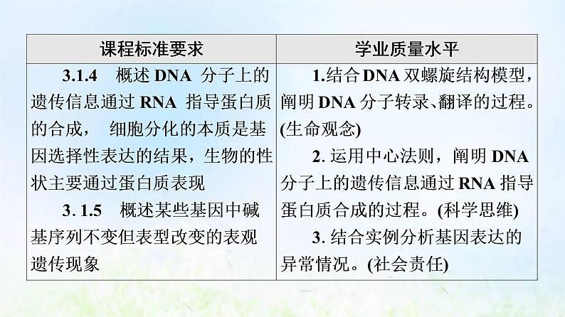 2022版新教材高考生物一轮复习第6单元基因的本质和表达第18课基因的表达课件新人教版第2页