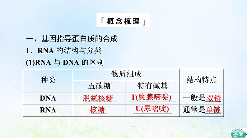 2022版新教材高考生物一轮复习第6单元基因的本质和表达第18课基因的表达课件新人教版第4页