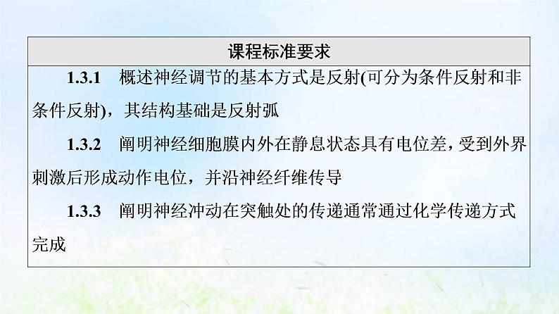 2022版新教材高考生物一轮复习第8单元生命活动的调节第23课神经调节课件新人教版02