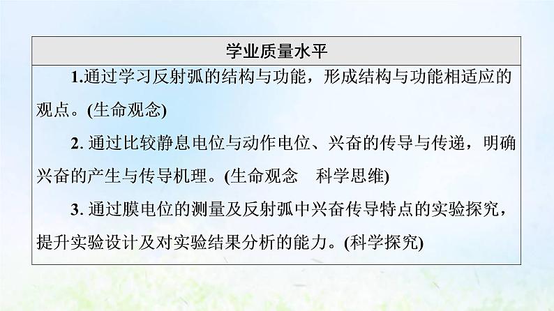 2022版新教材高考生物一轮复习第8单元生命活动的调节第23课神经调节课件新人教版04