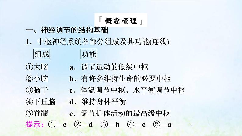 2022版新教材高考生物一轮复习第8单元生命活动的调节第23课神经调节课件新人教版07