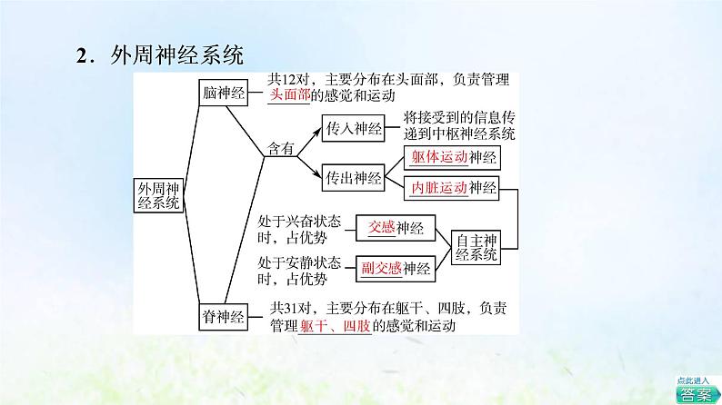 2022版新教材高考生物一轮复习第8单元生命活动的调节第23课神经调节课件新人教版08