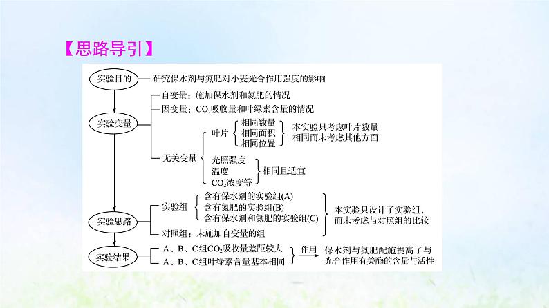 2022版新教材高考生物一轮复习第8单元生命活动的调节实验探究系列7实验方案的评价与修正课件新人教版第8页