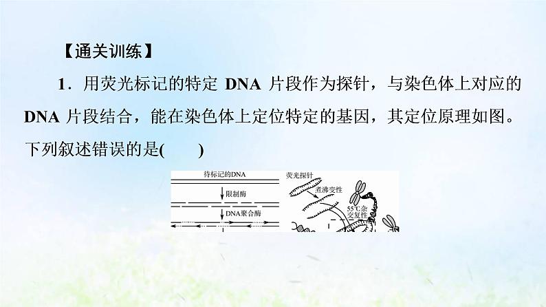 2022版新教材高考生物一轮复习第10单元生物技术与工程大概念升华课选择性必修概念5课件新人教版04