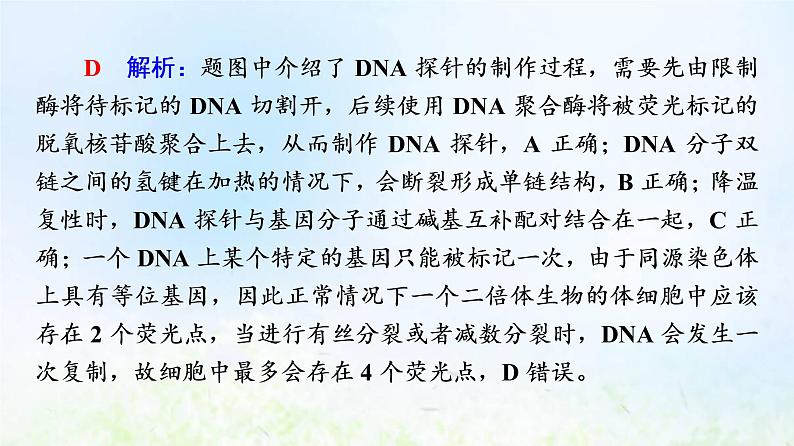 2022版新教材高考生物一轮复习第10单元生物技术与工程大概念升华课选择性必修概念5课件新人教版06