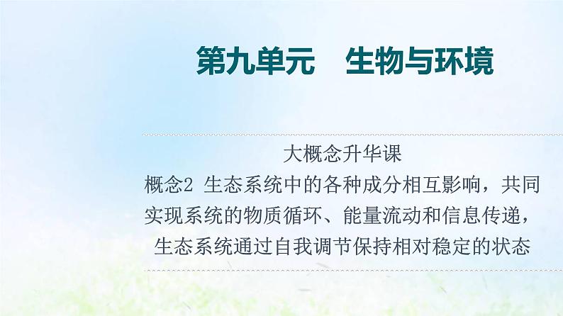 2022版新教材高考生物一轮复习第9单元生物与环境大概念升华课选择性必修概念2课件新人教版01