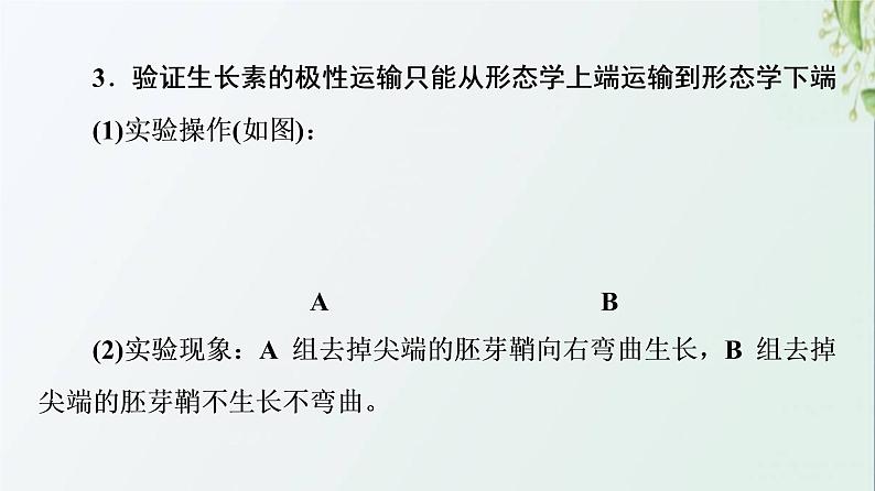 新教材高中生物第5章植物生命活动的调节素能提升课与生长素有关的实验设计和分析课件新人教版选择性必修1第5页