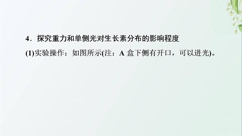 新教材高中生物第5章植物生命活动的调节素能提升课与生长素有关的实验设计和分析课件新人教版选择性必修1第6页