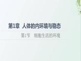 新教材高中生物第1章人体的内环境与稳态第1节细胞生活的环境课件新人教版选择性必修1