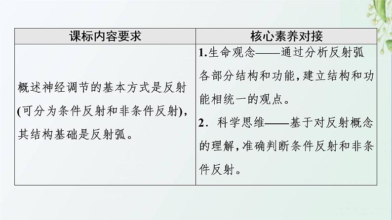 新教材高中生物第2章神经调节第2节神经调节的基本方式课件新人教版选择性必修102