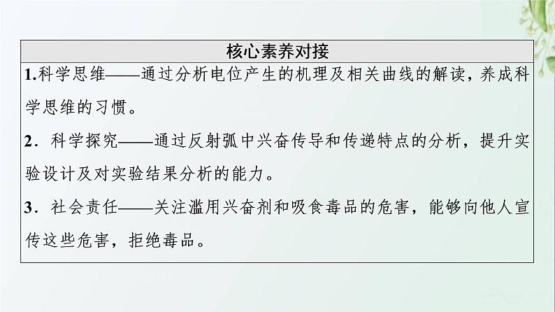 新教材高中生物第2章神经调节第3节神经冲动的产生和传导课件新人教版选择性必修103