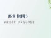 新教材高中生物第2章神经调节素能提升课兴奋传导和传递课件新人教版选择性必修1