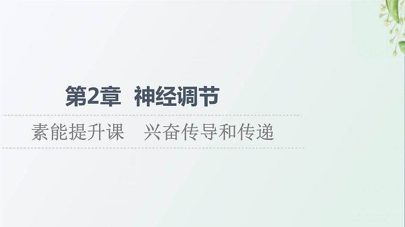 新教材高中生物第2章神经调节素能提升课兴奋传导和传递课件新人教版选择性必修1第1页