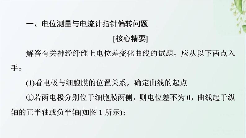 新教材高中生物第2章神经调节素能提升课兴奋传导和传递课件新人教版选择性必修1第2页