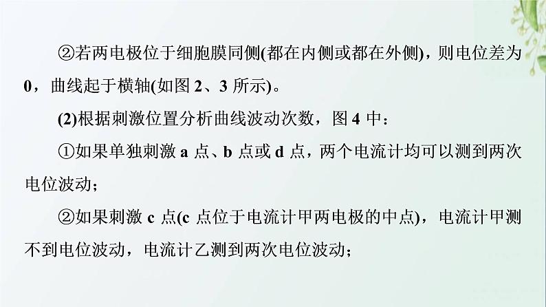 新教材高中生物第2章神经调节素能提升课兴奋传导和传递课件新人教版选择性必修1第3页