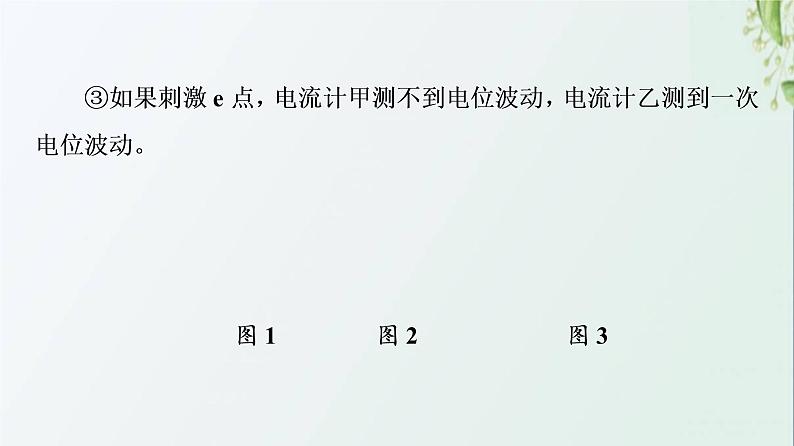 新教材高中生物第2章神经调节素能提升课兴奋传导和传递课件新人教版选择性必修1第4页