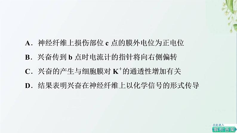新教材高中生物第2章神经调节素能提升课兴奋传导和传递课件新人教版选择性必修1第7页