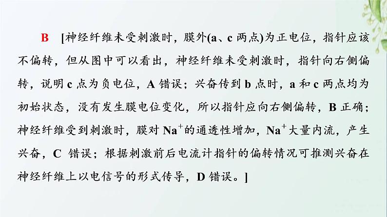 新教材高中生物第2章神经调节素能提升课兴奋传导和传递课件新人教版选择性必修1第8页