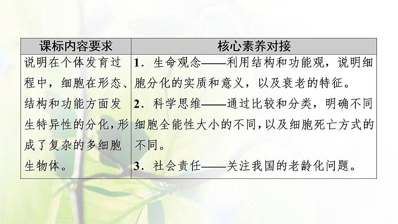 细胞分化、衰老和死亡PPT课件免费下载02