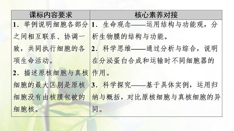 新教材高中生物第二章细胞的结构和生命活动第2节第4课时细胞各部分结构分工合作原核细胞和真核细胞的主要区别课件苏教版必修102