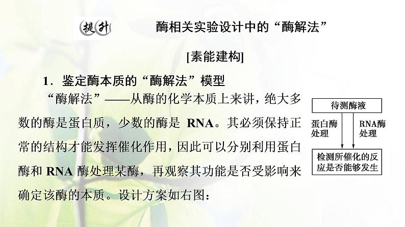 新教材高中生物第三章细胞中能量的转换和利用第1节素能提升课酶的相关实验设计和分析课件苏教版必修1第2页