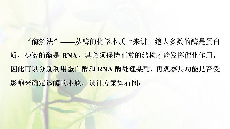 新教材高中生物第三章细胞中能量的转换和利用第1节素能提升课酶的相关实验设计和分析课件苏教版必修1第3页