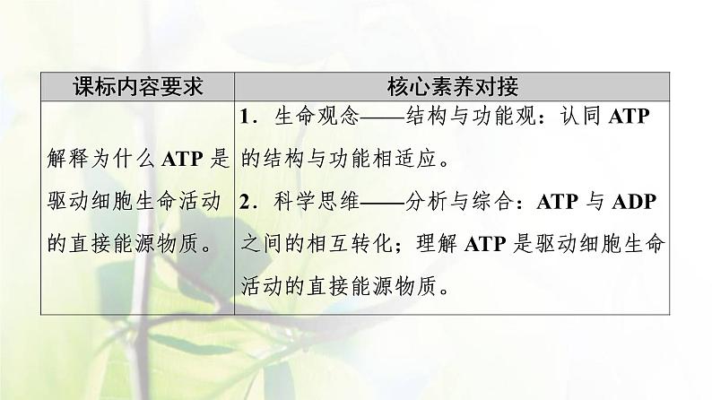 新教材高中生物第三章细胞中能量的转换和利用第1节第2课时ATP是驱动细胞生命活动的直接能源物质课件苏教版必修102