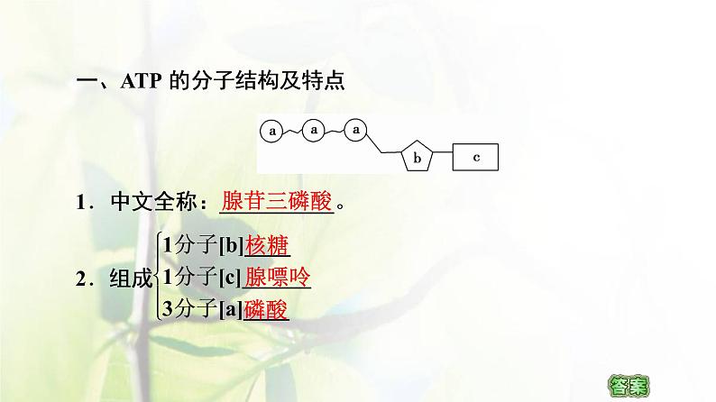 新教材高中生物第三章细胞中能量的转换和利用第1节第2课时ATP是驱动细胞生命活动的直接能源物质课件苏教版必修104