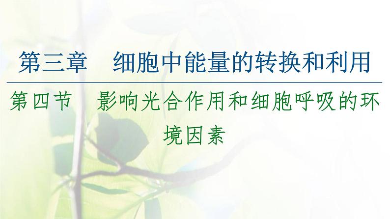 新教材高中生物第三章细胞中能量的转换和利用第4节影响光合作用和细胞呼吸的环境因素课件苏教版必修1第1页