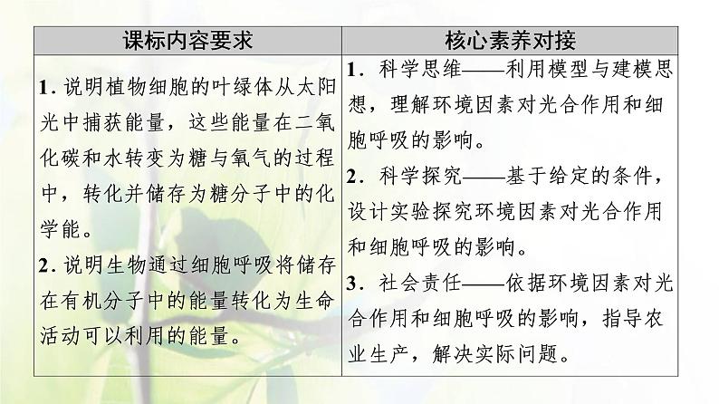 新教材高中生物第三章细胞中能量的转换和利用第4节影响光合作用和细胞呼吸的环境因素课件苏教版必修1第2页