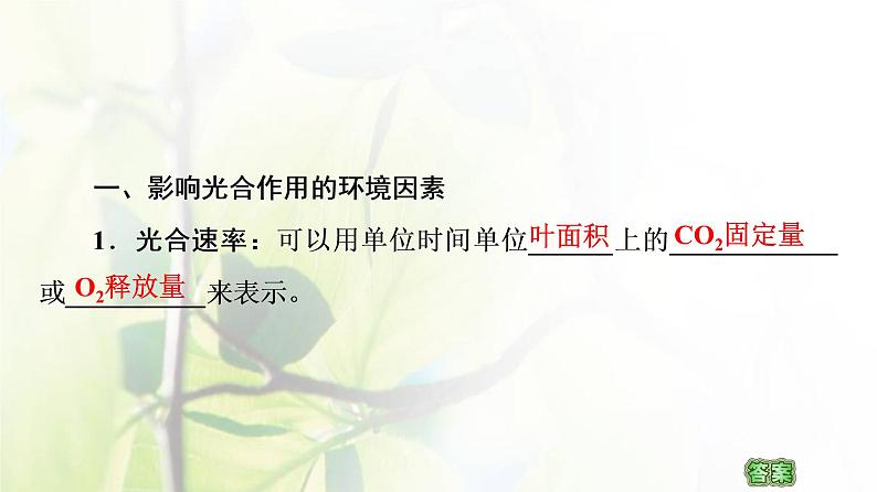 新教材高中生物第三章细胞中能量的转换和利用第4节影响光合作用和细胞呼吸的环境因素课件苏教版必修1第4页