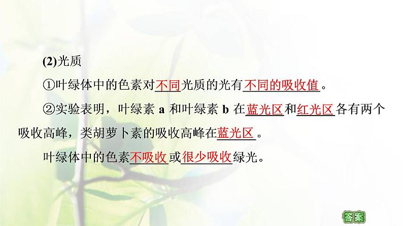 新教材高中生物第三章细胞中能量的转换和利用第4节影响光合作用和细胞呼吸的环境因素课件苏教版必修1第6页