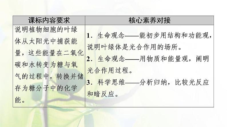 新教材高中生物第三章细胞中能量的转换和利用第2节第2课时绿色植物光合作用的过程课件苏教版必修102