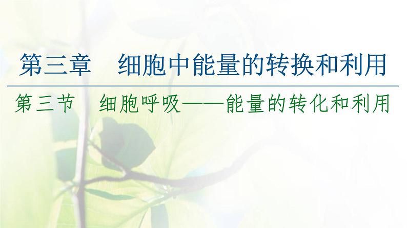 新教材高中生物第三章细胞中能量的转换和利用第3节细胞呼吸__能量的转化和利用课件苏教版必修101