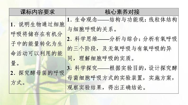 新教材高中生物第三章细胞中能量的转换和利用第3节细胞呼吸__能量的转化和利用课件苏教版必修102